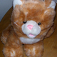 Image for article titled If You Can't Buy It, Build It: Wanky The Safety Cat